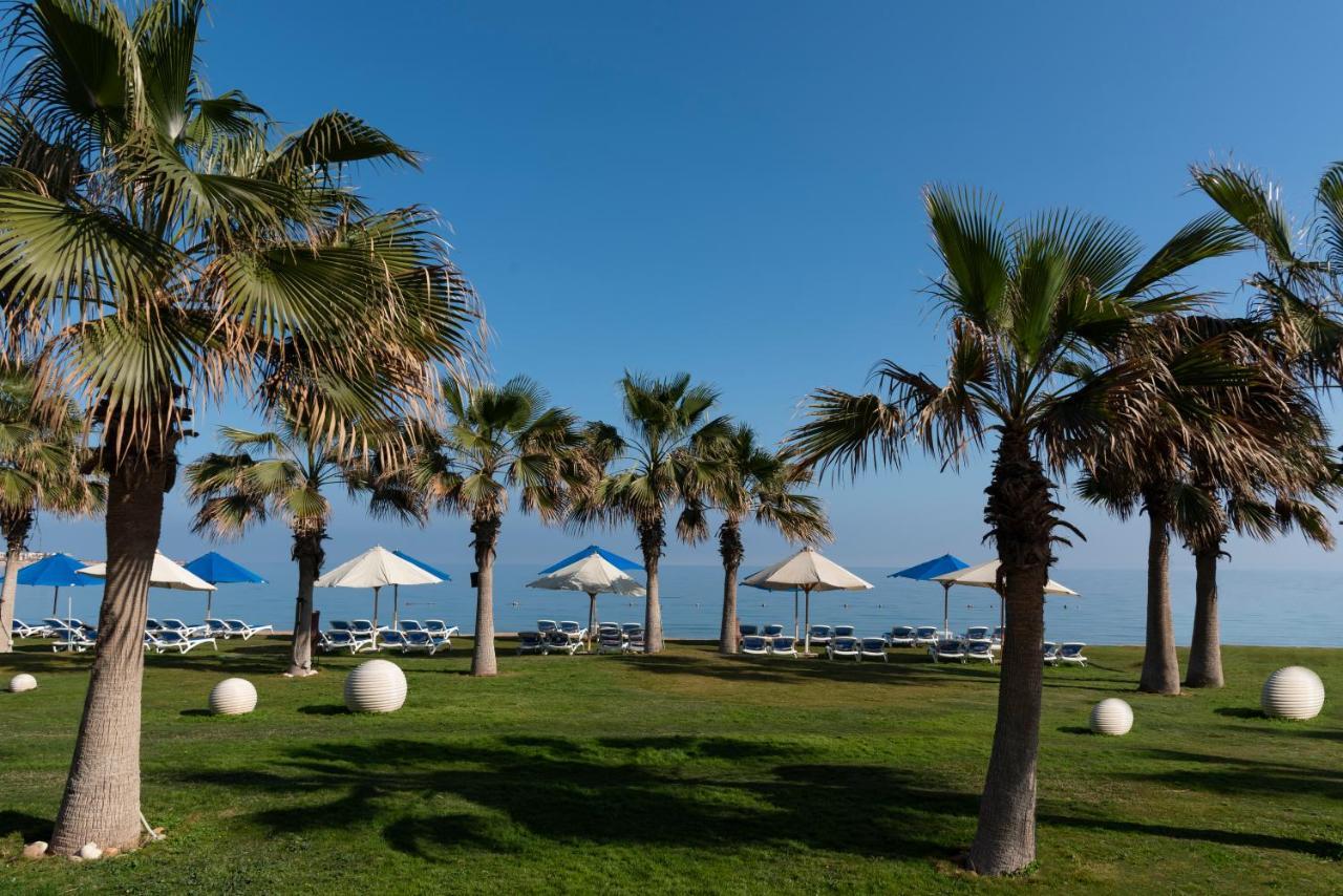 מלון עיין סוחנה Grand Ocean El Sokhna מראה חיצוני תמונה Palm trees in Limassol
